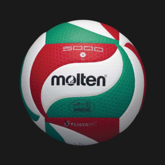 MOLTEN V5M5000  (INTERNATIONAL LEATHER)
